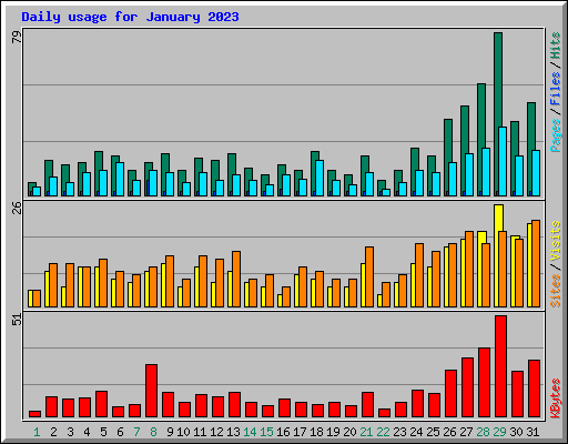 Daily usage for January 2023