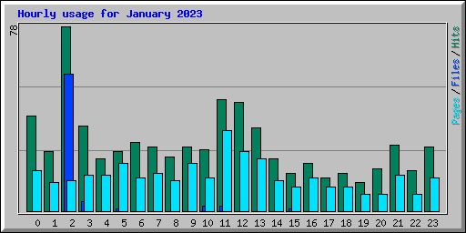 Hourly usage for January 2023